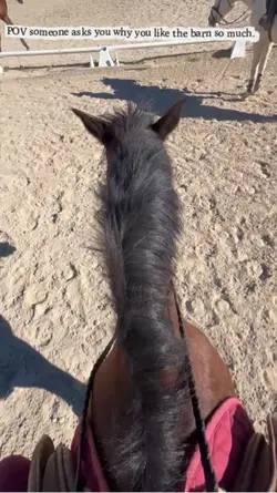 Horses are therapy