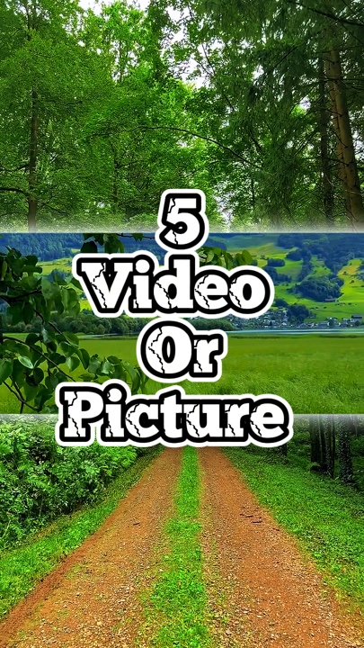5 video template baru