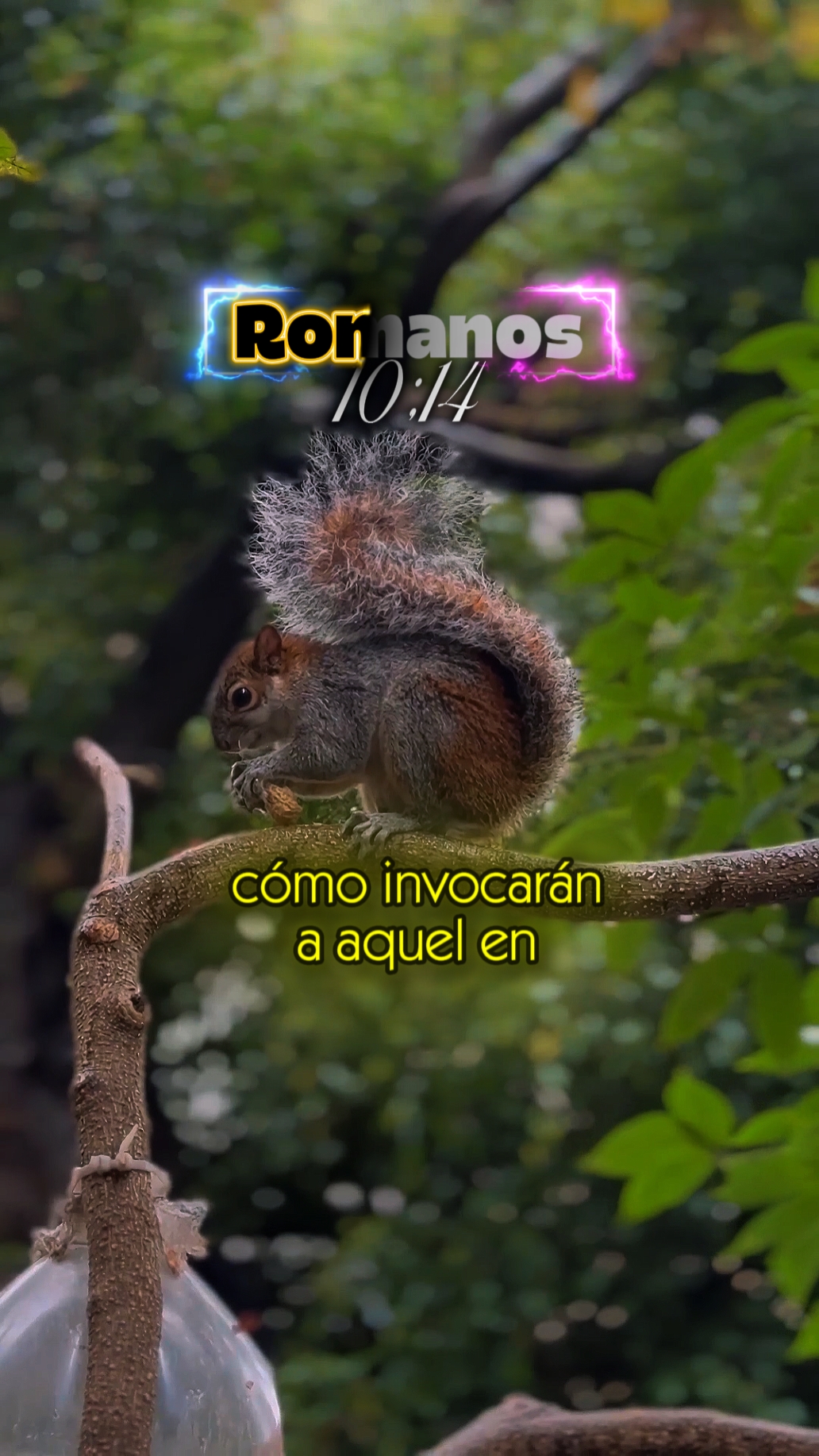 ROMANOS 10;14
