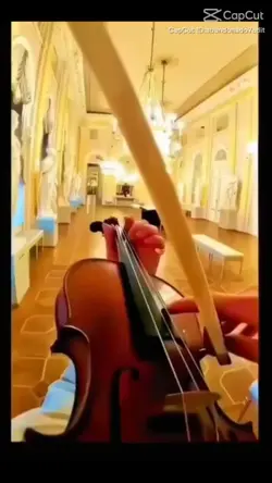 Violin plays