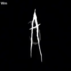 Wm