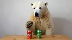 The decision  