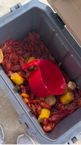 Hora do lagostim 🦞