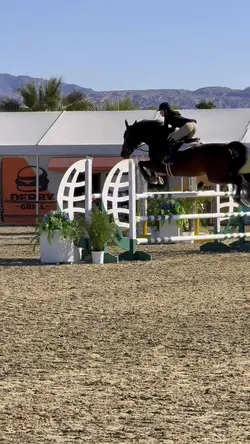 Horse slomo template