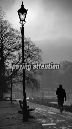 Pay attention 