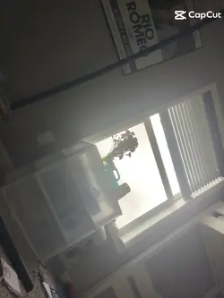 autism 