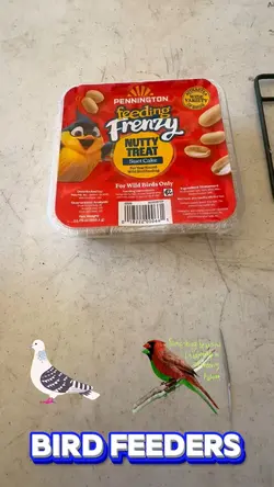 Bird Feeders