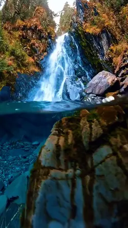 5 videos photos 