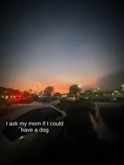 My handsome boy 💞