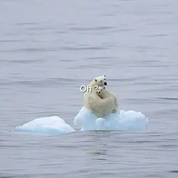 Save the polar bears
