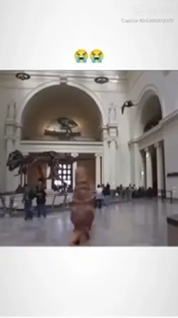 Dino
