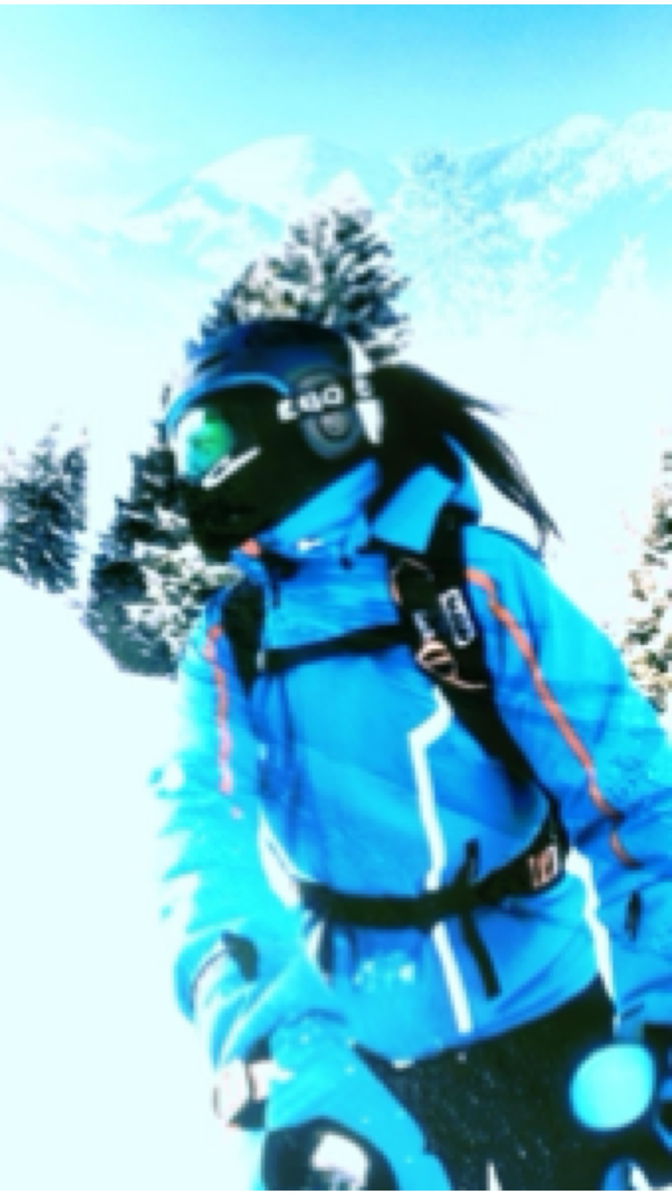 Cover Picture