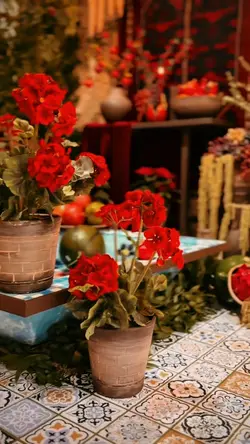 ایرانی (یلدا🍉)