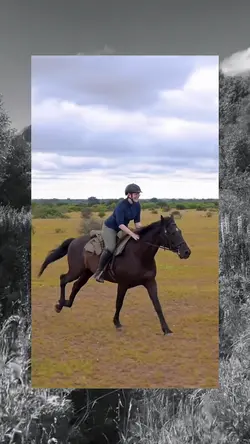 montado a caballo