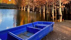 US copyright issues4