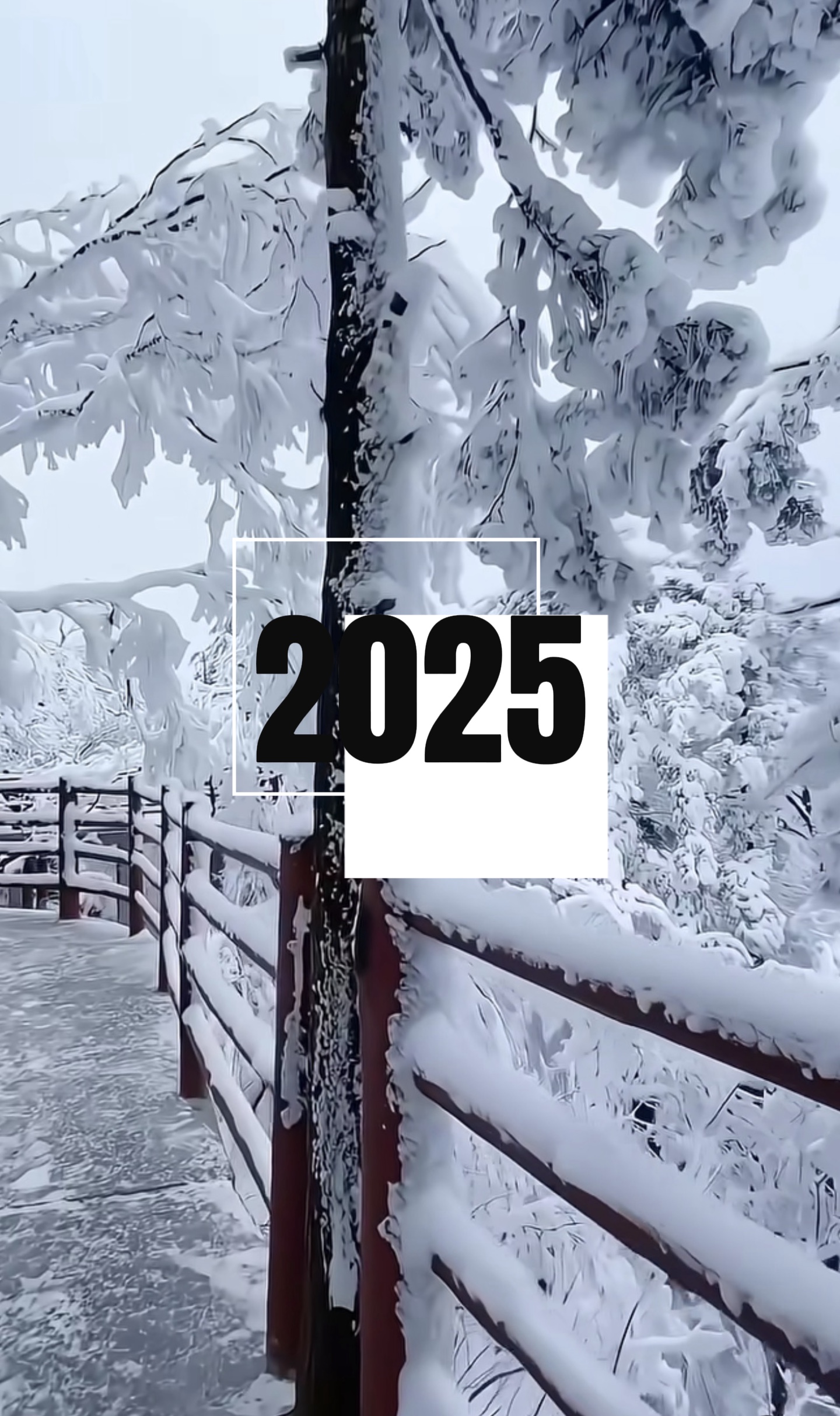 2025 Überprüfung 