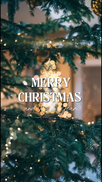 FROHE WEIHNACHTEN 