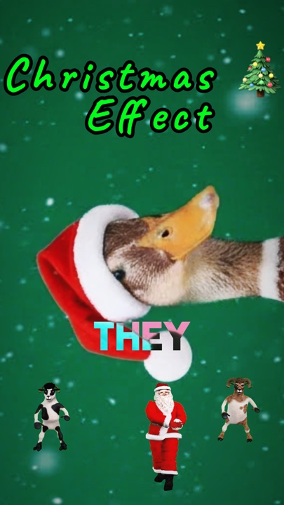 Christmas with duck