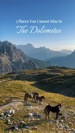 Italy Hallelujah 