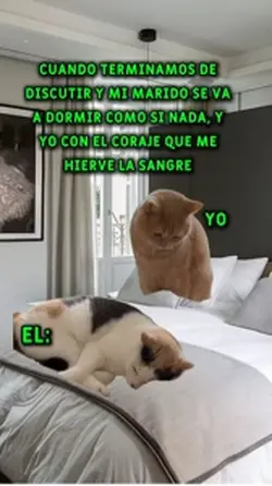 Sígueme 
