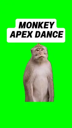 MONKEY APEX DANCE