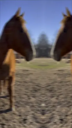 ☹️❤️❤️❤️