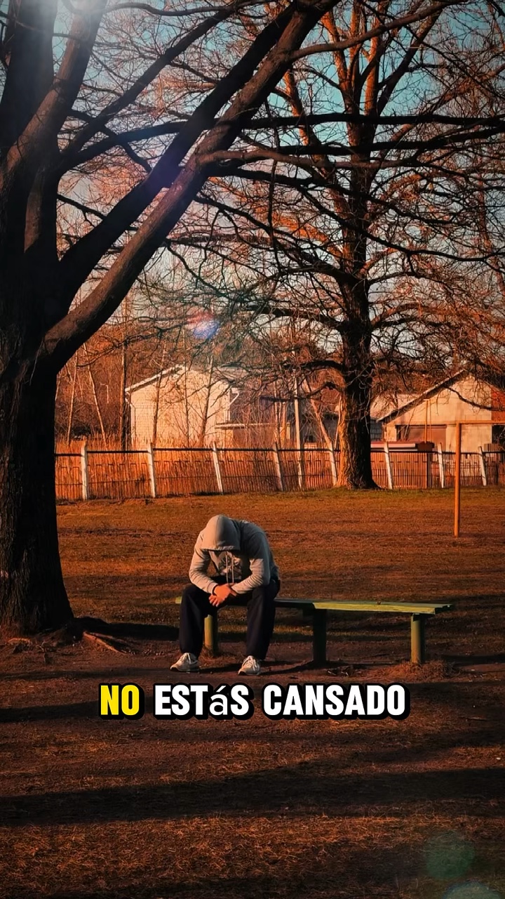 Disciplina 