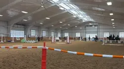 💜