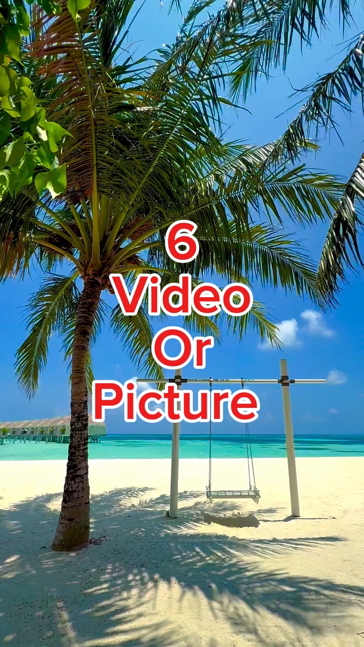 #New #template #song