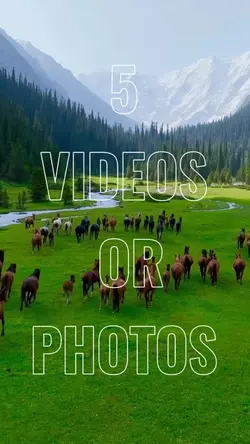 5 aesthetic template