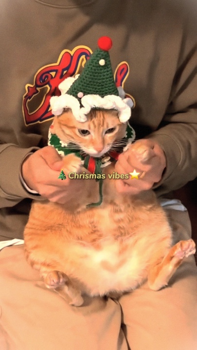 Animal de Noël