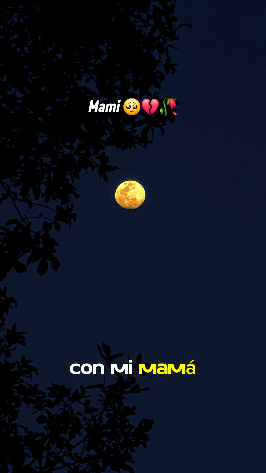 Mami