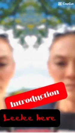 Introduction 