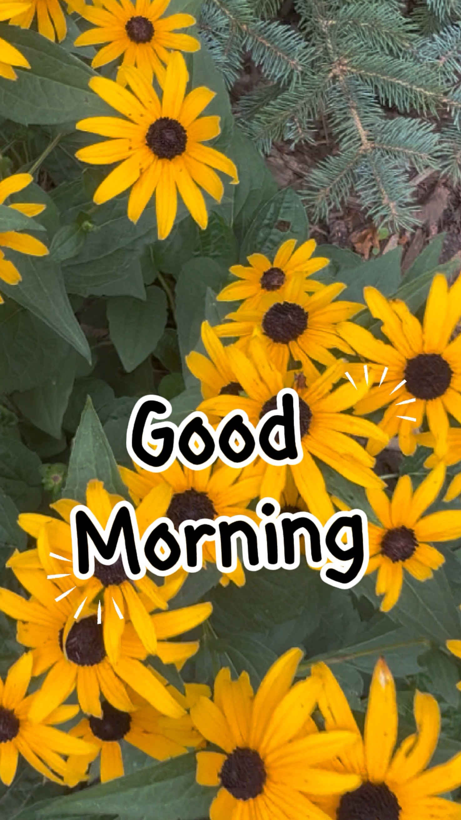 Good morning