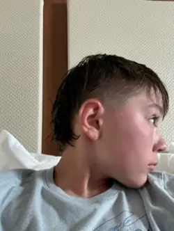 Mullet