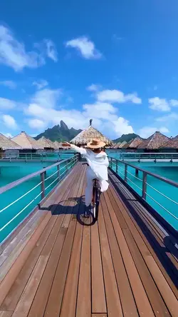 8 videos photos