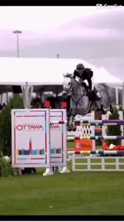 HOLY HORSE