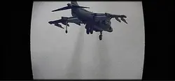 Harrier edit