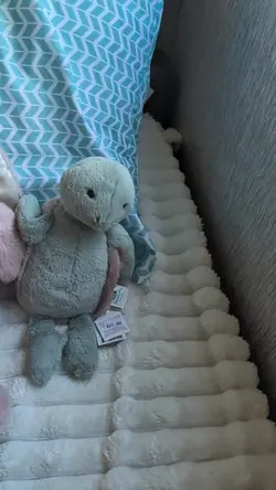 jellycats! 