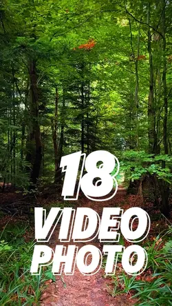 18 clip or photo 💚