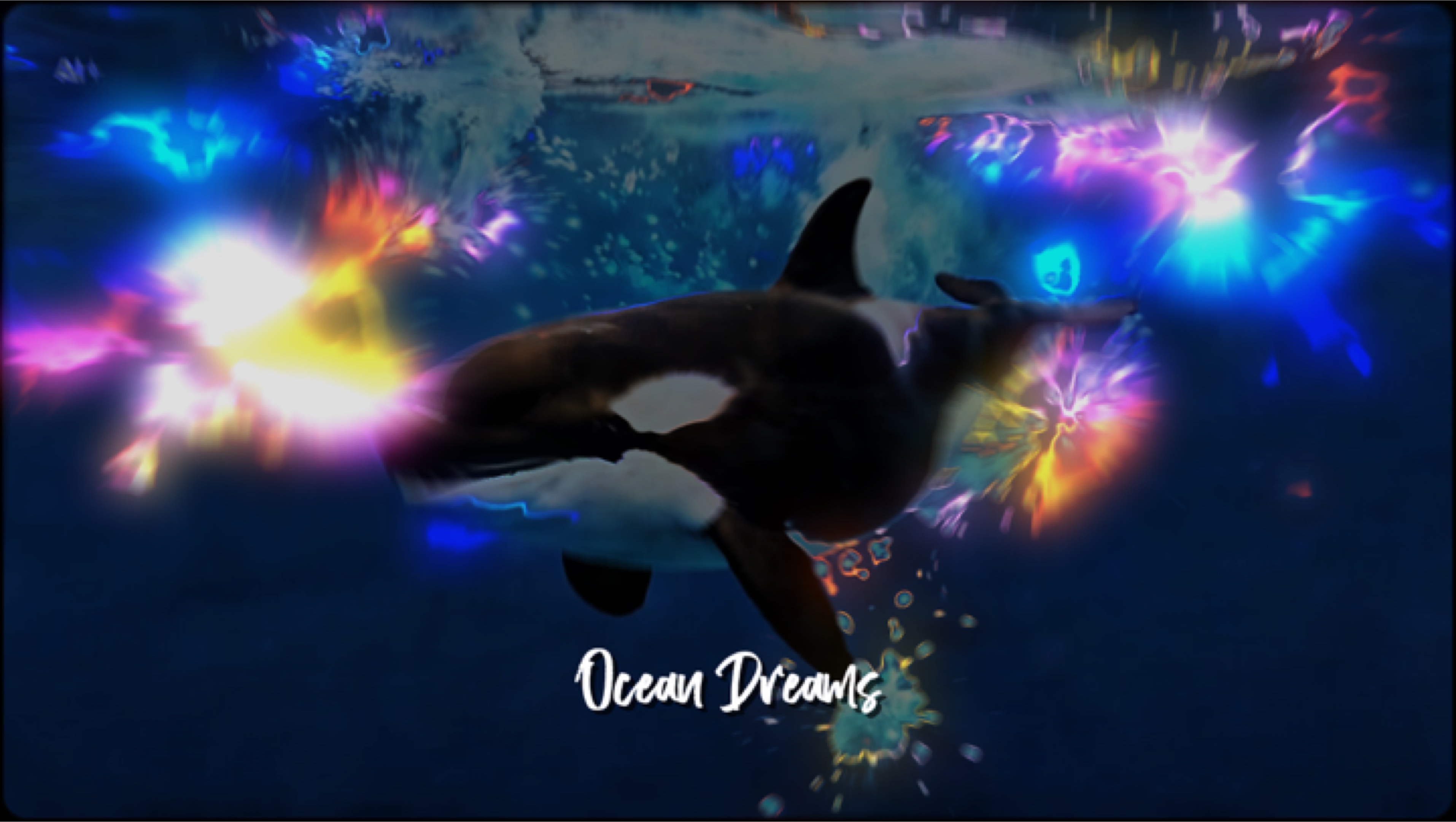 Ocean Dreams