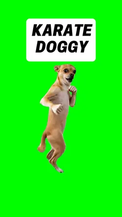 KATATE DOGGY