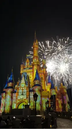 Magic kingdom