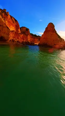 5 videos or pictures