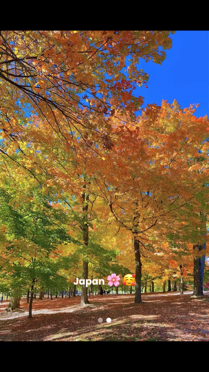 Japan-Effekt-Trend
