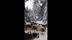 Un Mensaje de Paz pa