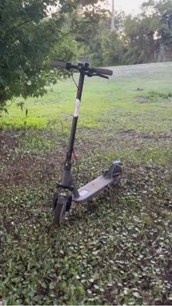 Scooter in da woods 