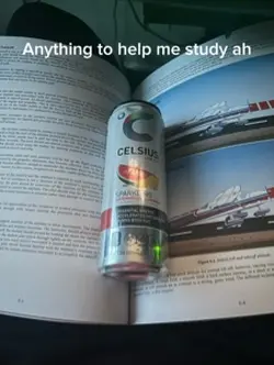 Student pilot
