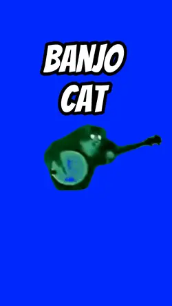 Banjo Cat