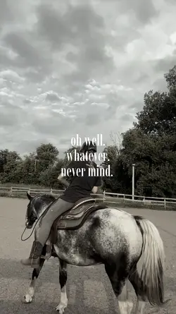 whatever never mind